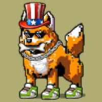 DogePunks #4461