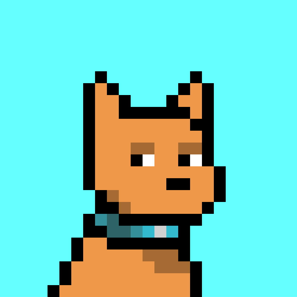 Doginal Dog #8065