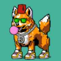 DogePunks #675