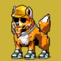 DogePunks #1247