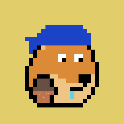 Dogepunk #8080