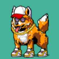 DogePunks #1765