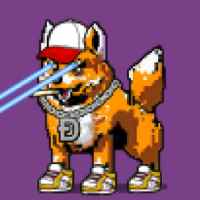 DogePunks #1695