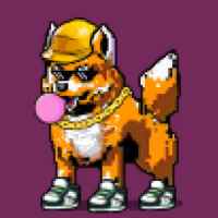 DogePunks #4753