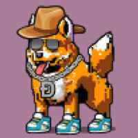 DogePunks #627