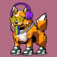DogePunks #1704