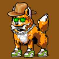 DogePunks #1055