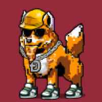 DogePunks #1763