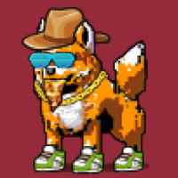 DogePunks #875