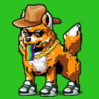 DogePunks #3597