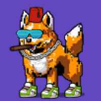 DogePunks #823