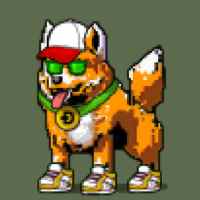 DogePunks #2534