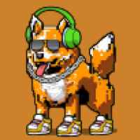 DogePunks #2211