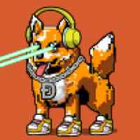 DogePunks #4664