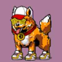 DogePunks #648