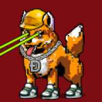 DogePunks #1970