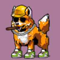 DogePunks #555