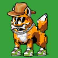 DogePunks #3532