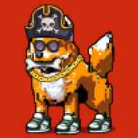 DogePunks #1339
