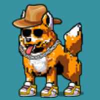 DogePunks #1839