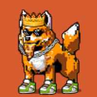 DogePunks #656