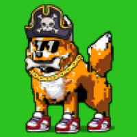 DogePunks #1938