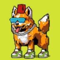 DogePunks #3798