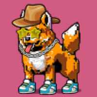DogePunks #1755