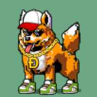 DogePunks #1521