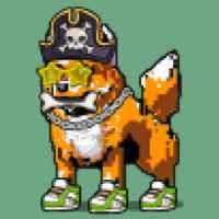 DogePunks #4819