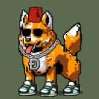 DogePunks #1751