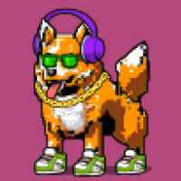 DogePunks #1775