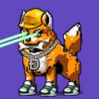 DogePunks #4049