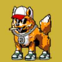 DogePunks #661