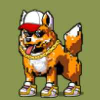 DogePunks #3228