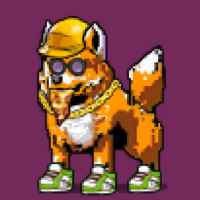 DogePunks #1721