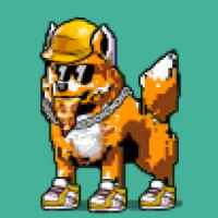 DogePunks #2597