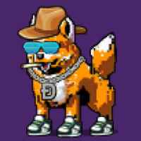 DogePunks #3594