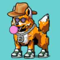 DogePunks #594