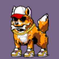 DogePunks #4796