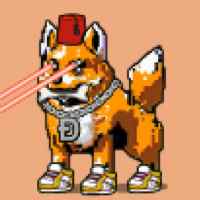 DogePunks #4717