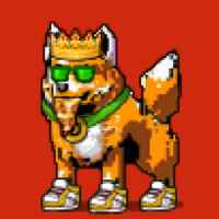 DogePunks #1004