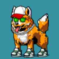 DogePunks #554