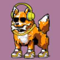 DogePunks #1225