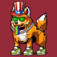 DogePunks #3507