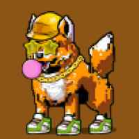 DogePunks #3492