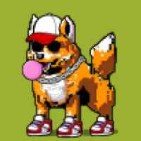DogePunks #3995