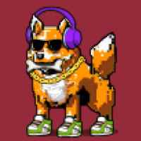 DogePunks #4562