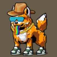 DogePunks #342