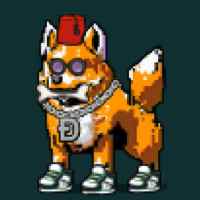 DogePunks #2472